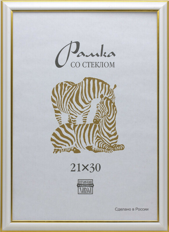 

Рамка пластиковая Зебра А4 (белый) 300