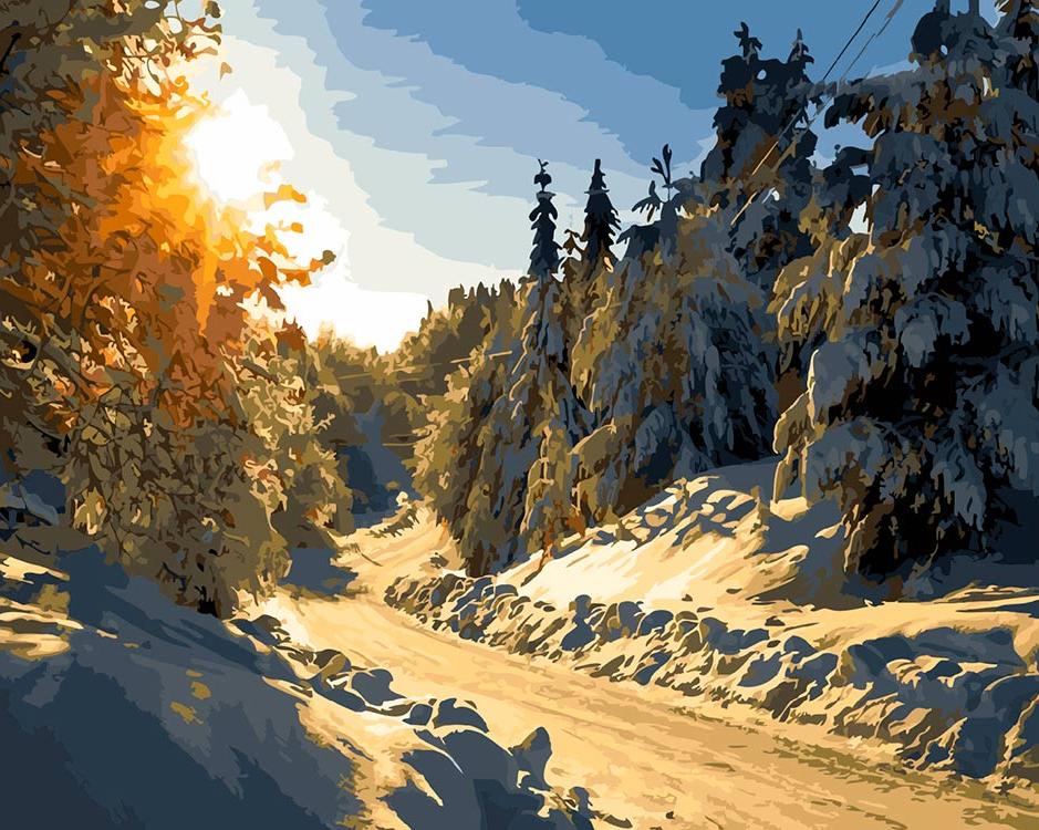 

Живопись по номерам ВанГогВоМне Зимняя дорога 40x50, Зимняя дорога