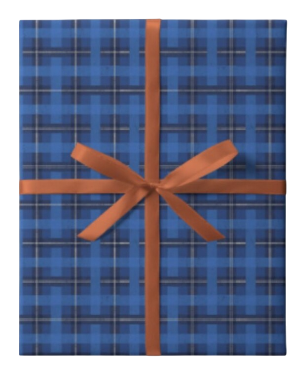 Бумага упаковочная 100 х 70 см Paperie Blue check plaid 269₽