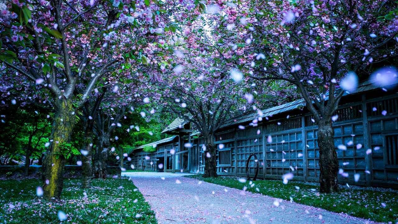 

Картина на холсте 60x110 LinxOne "Природа, пейзаж, натура, флора