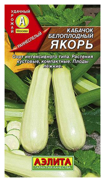 

Семена. Кабачок белоплодный "Якорь" (вес: 2 г)