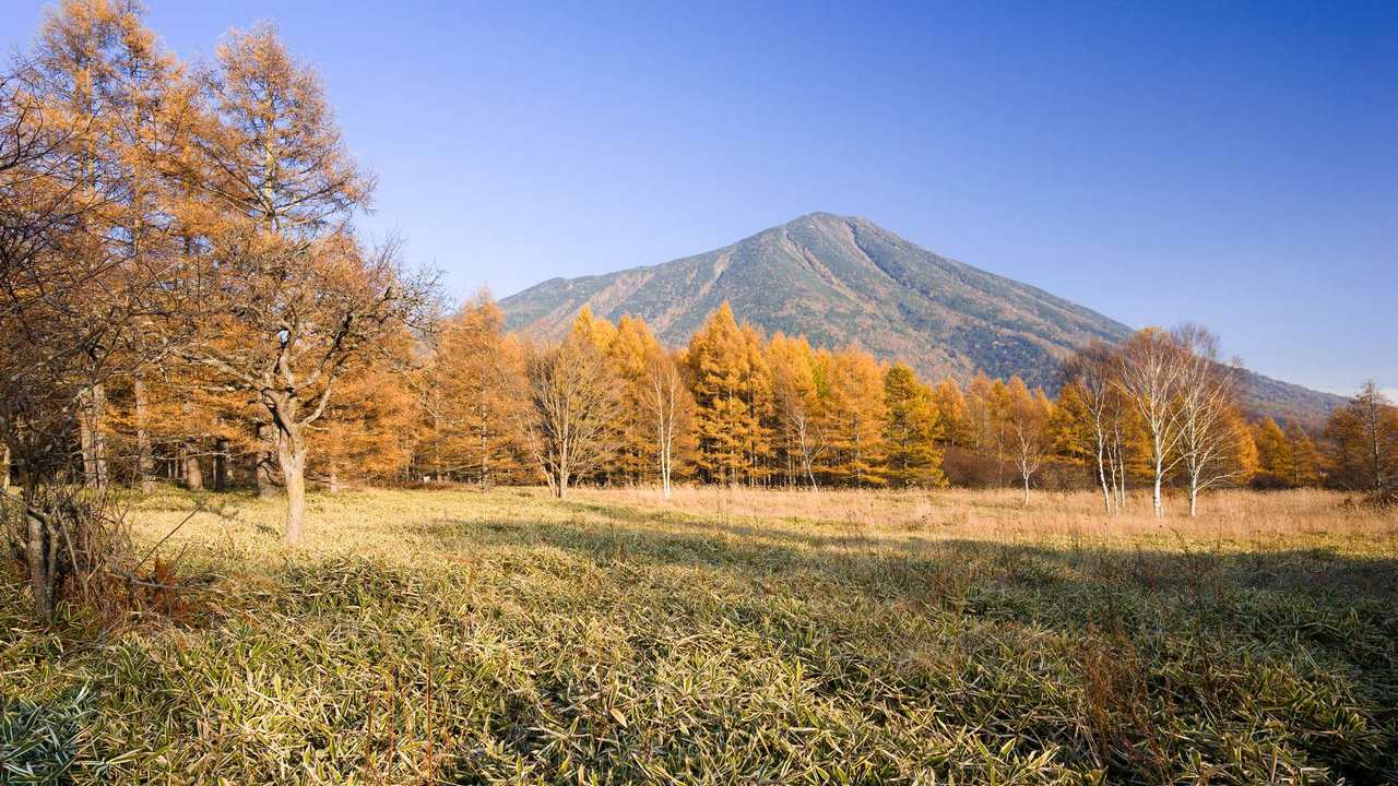 

Картина на холсте 60x110 LinxOne "Природа, пейзаж, натура, флора