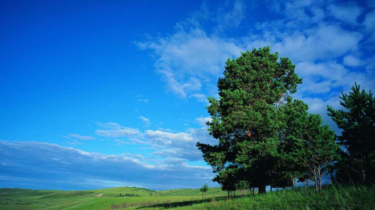 

Картина на холсте 60x110 LinxOne "Природа, пейзаж, натура, флора