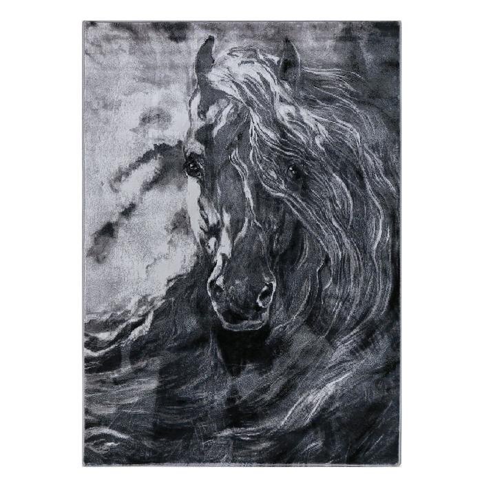 

Ковер прямоугольный Бостон хит-сет, 200х300 см