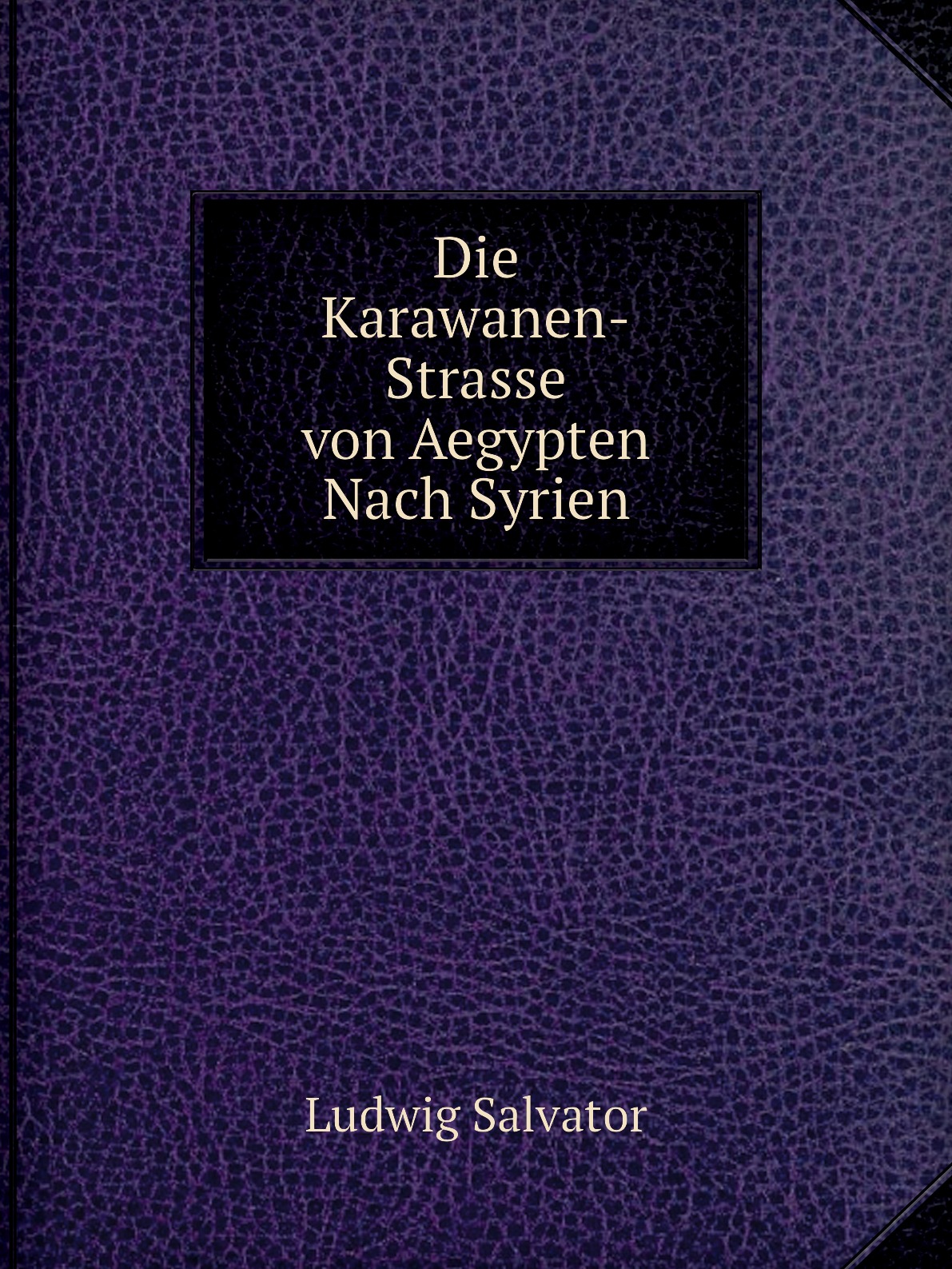 

Die Karawanen-Strasse von Aegypten Nach Syrien