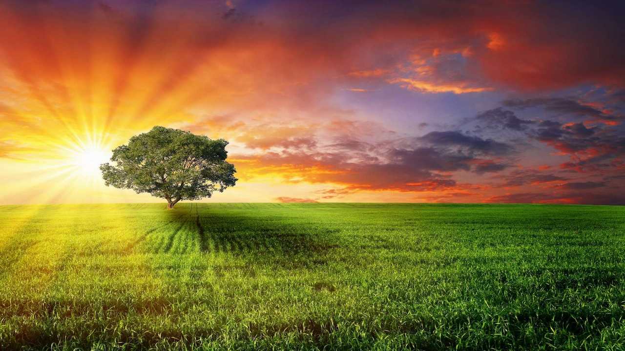 

Картина на холсте 60x110 LinxOne "Природа, пейзаж, натура, флора