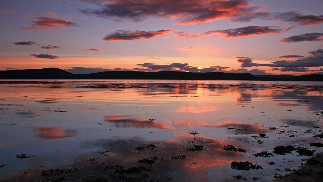 

Картина на холсте 60x110 LinxOne "Природа, пейзаж, натура, флора