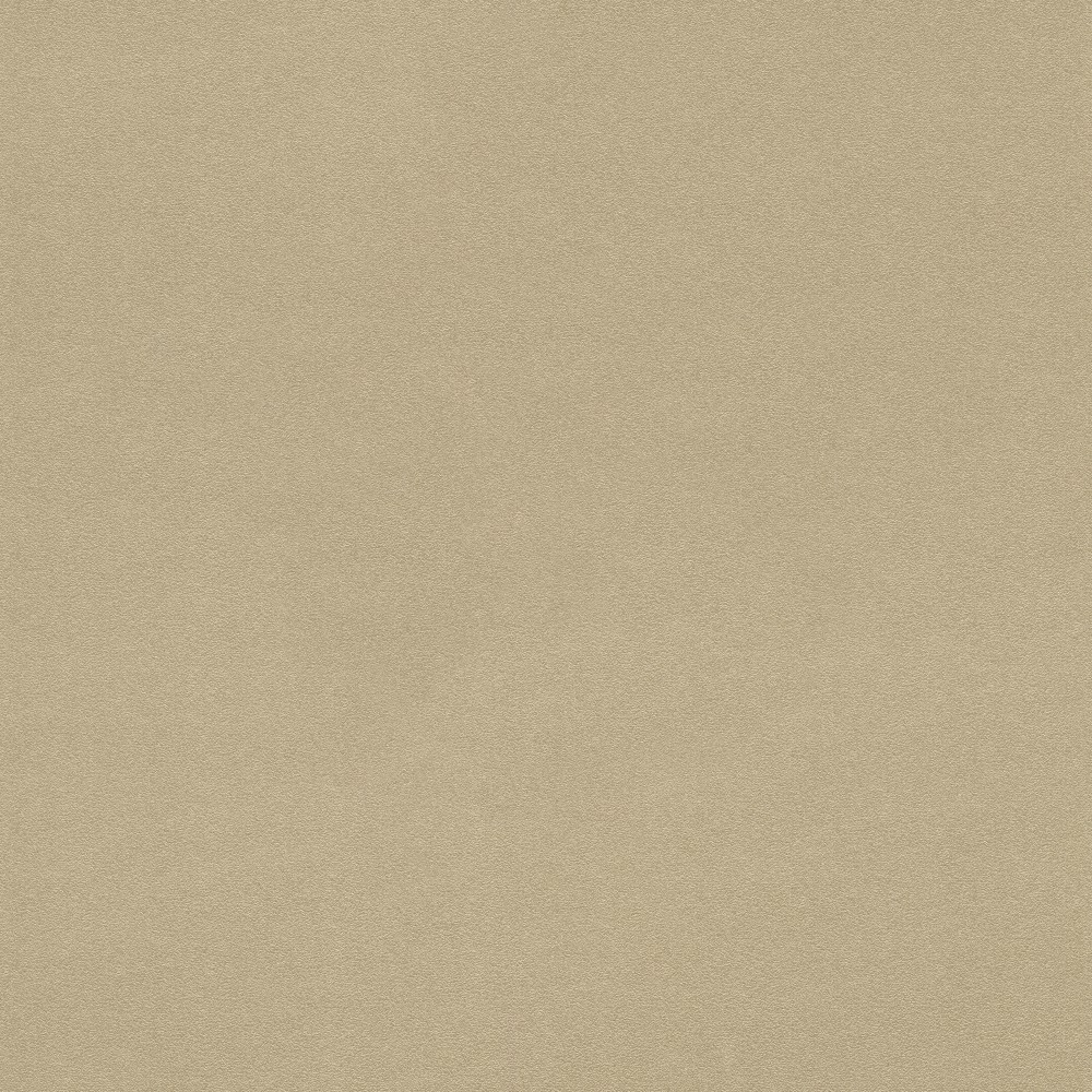 фото Обои rasch 806892 selection vinyl/vlies 4000441806892