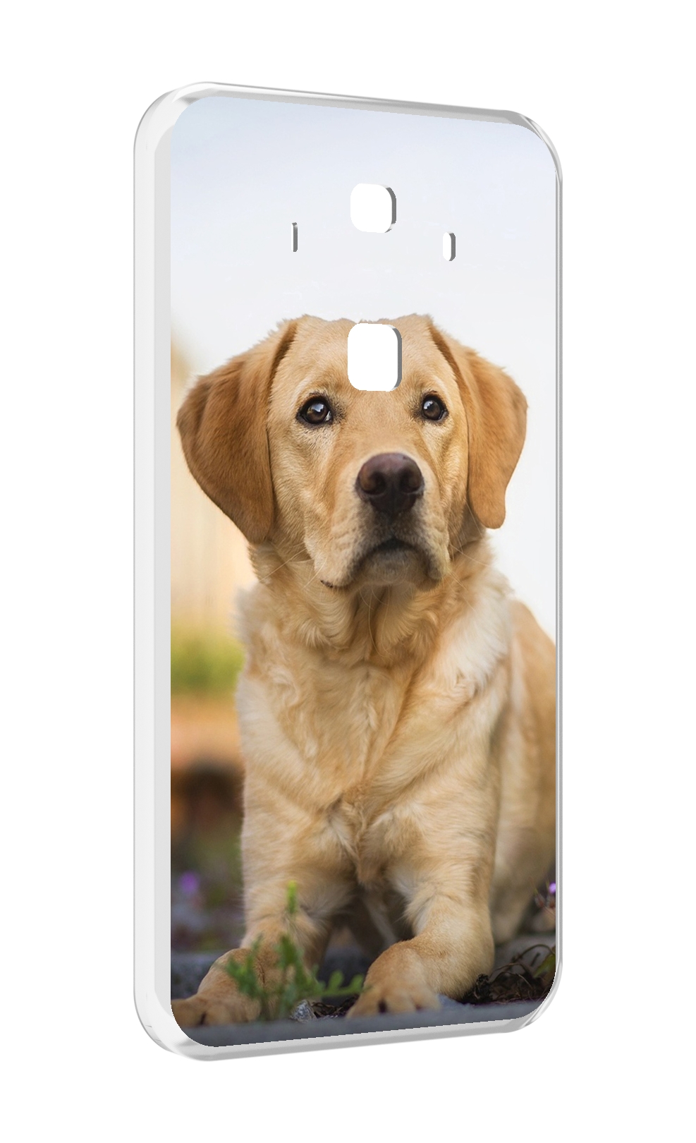 

Чехол MyPads лабрадор ретривер для Huawei Mate 10 Pro, Прозрачный, Tocco