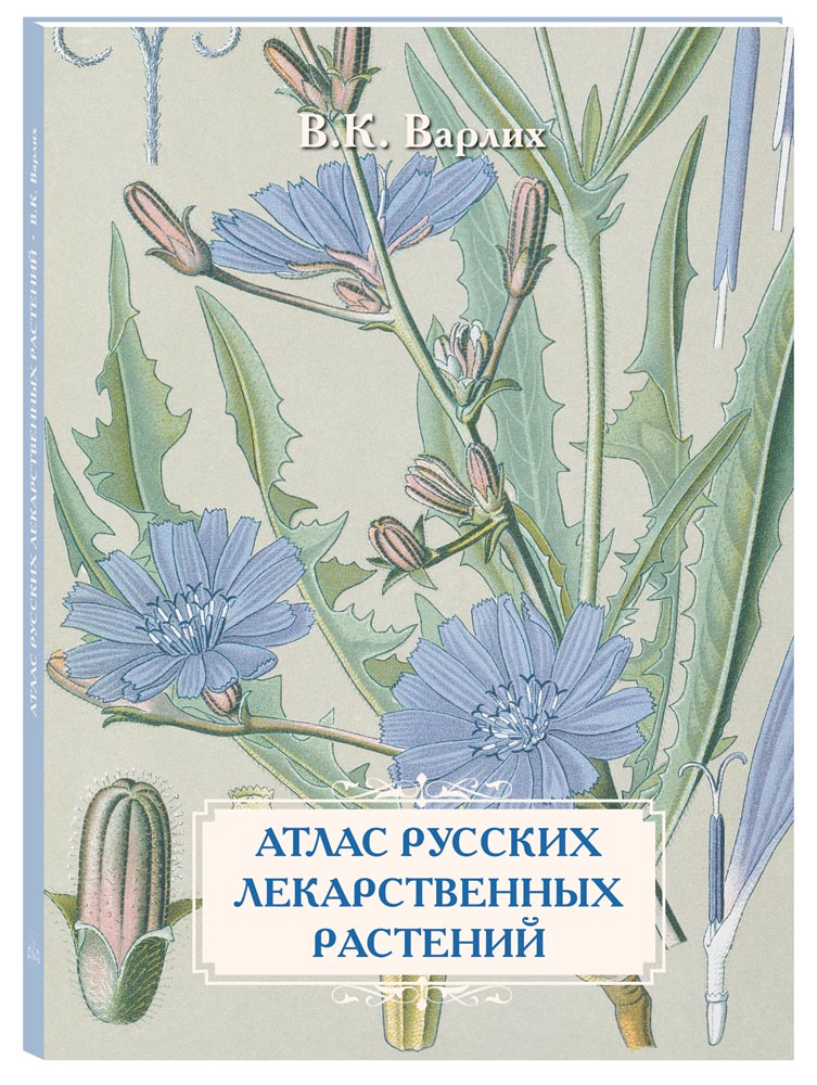

Альбом Атлас русских лекарственных растений, 20504187010