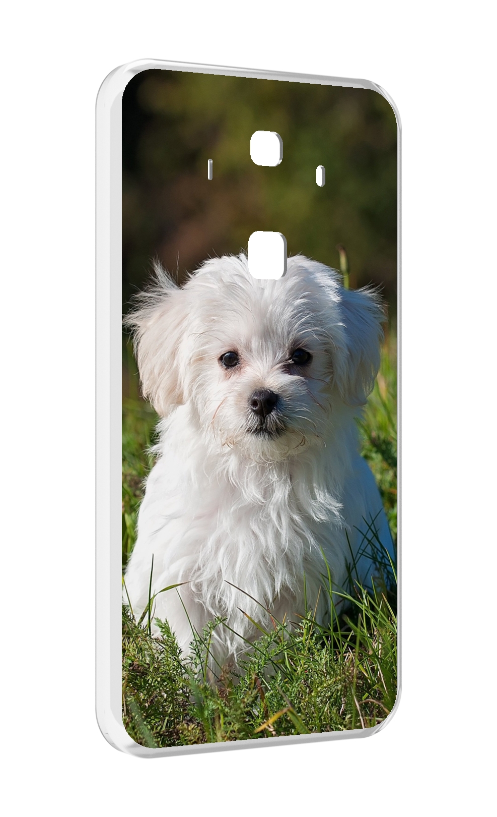

Чехол MyPads мальтииская-болонка для Huawei Mate 10 Pro, Прозрачный, Tocco