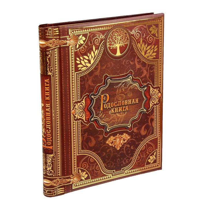 

Родословная История семьи, 27 листов, 24.5 х 29.2 см