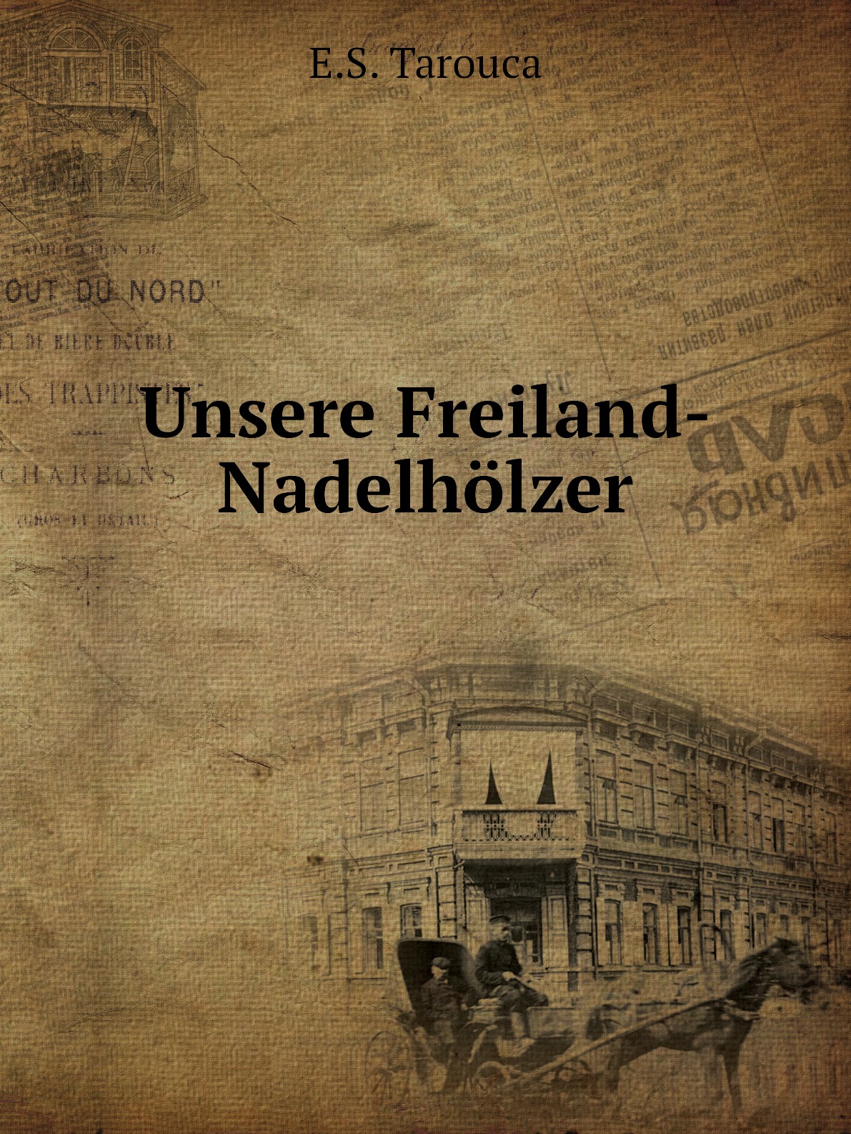 

Unsere Freiland-Nadelholzer