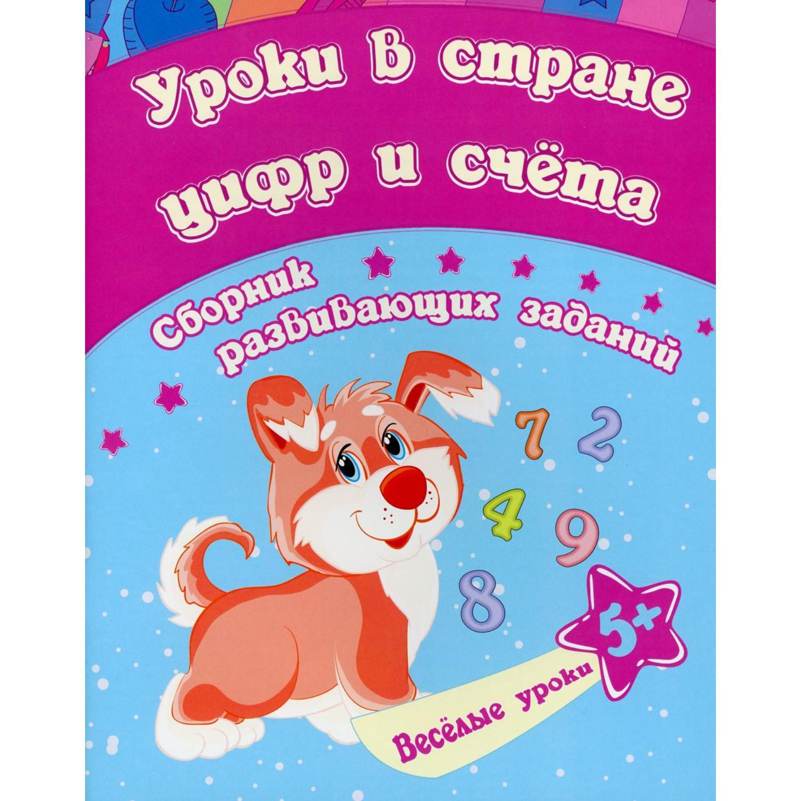 

Уроки в стране цифр и счета: сборник развивающих заданий для детей от 5 лет. Ищук Е.С.
