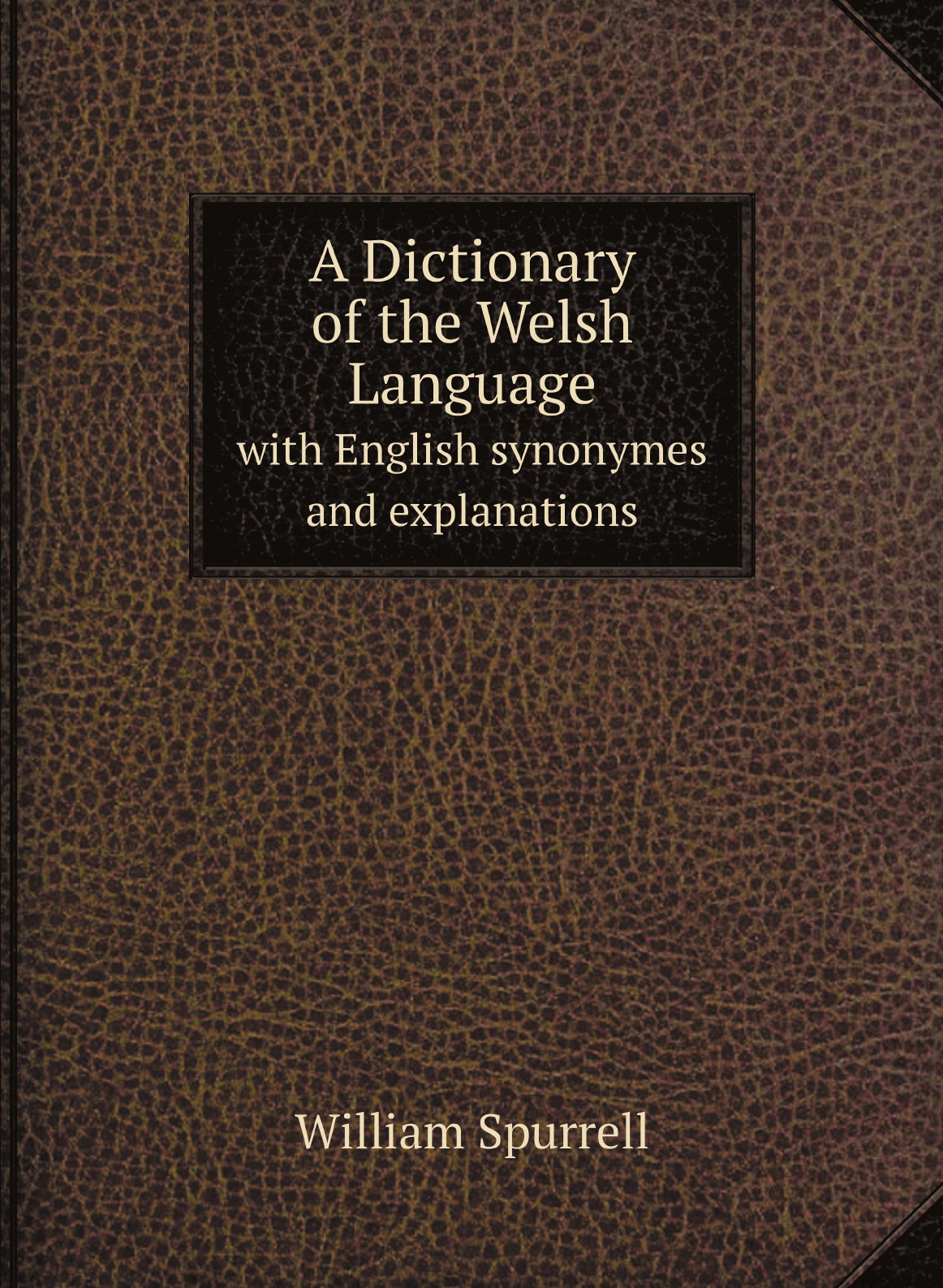 

A Dictionary of the Welsh Language