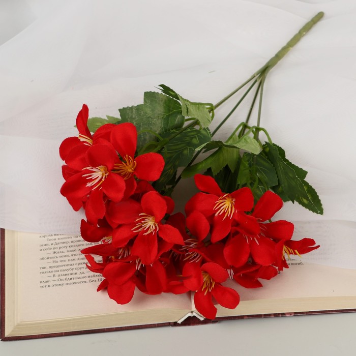 

Букет "Альстромерия элит" 5х29 см, микс (2 шт.), В ассортименте