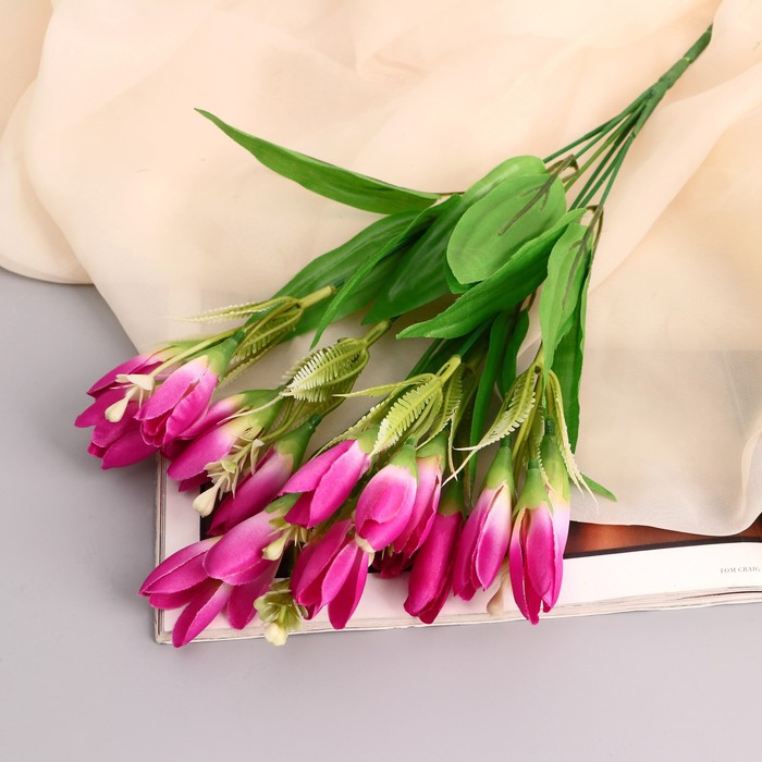 

Букет "Крокусы ранние" 30 см, микс (2 шт.), В ассортименте