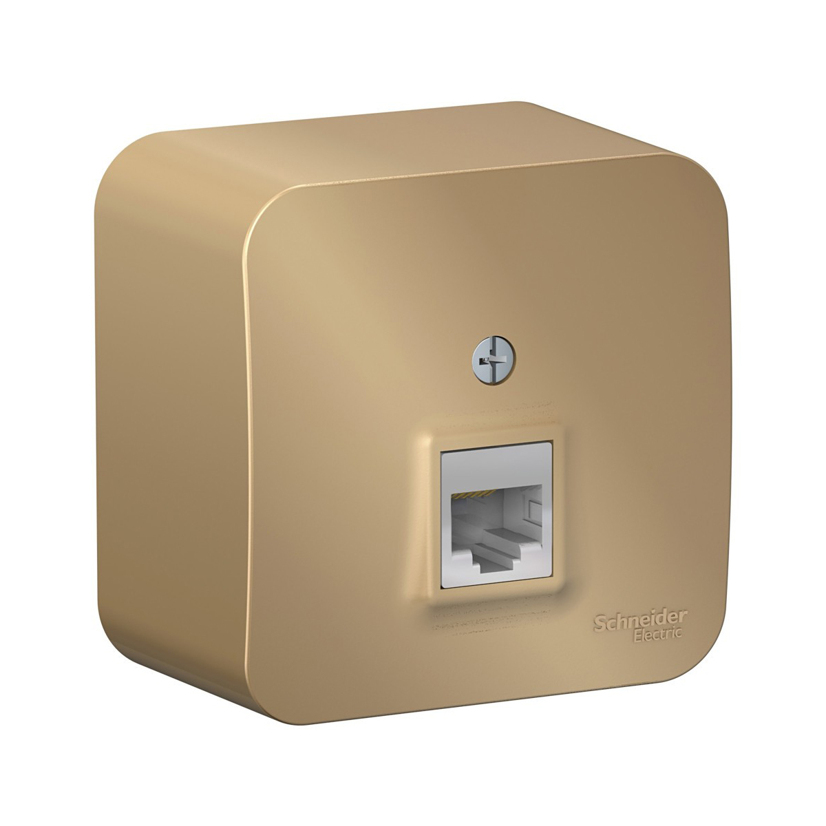 

Розетка компьютерная RJ45 Systeme Electric BLNIA045004, накладная, титан, Серый
