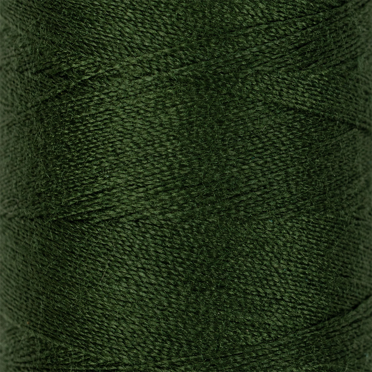 

Gamma полиэстер, 200 я, 10 шт, 183 м, №221, темно-зеленый, полиэстер, 200 я, 10 шт, 183 м, №221, темно-зеленый