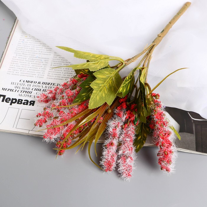 

Букет "Пушица акация" 30 см, микс (2 шт.), В ассортименте
