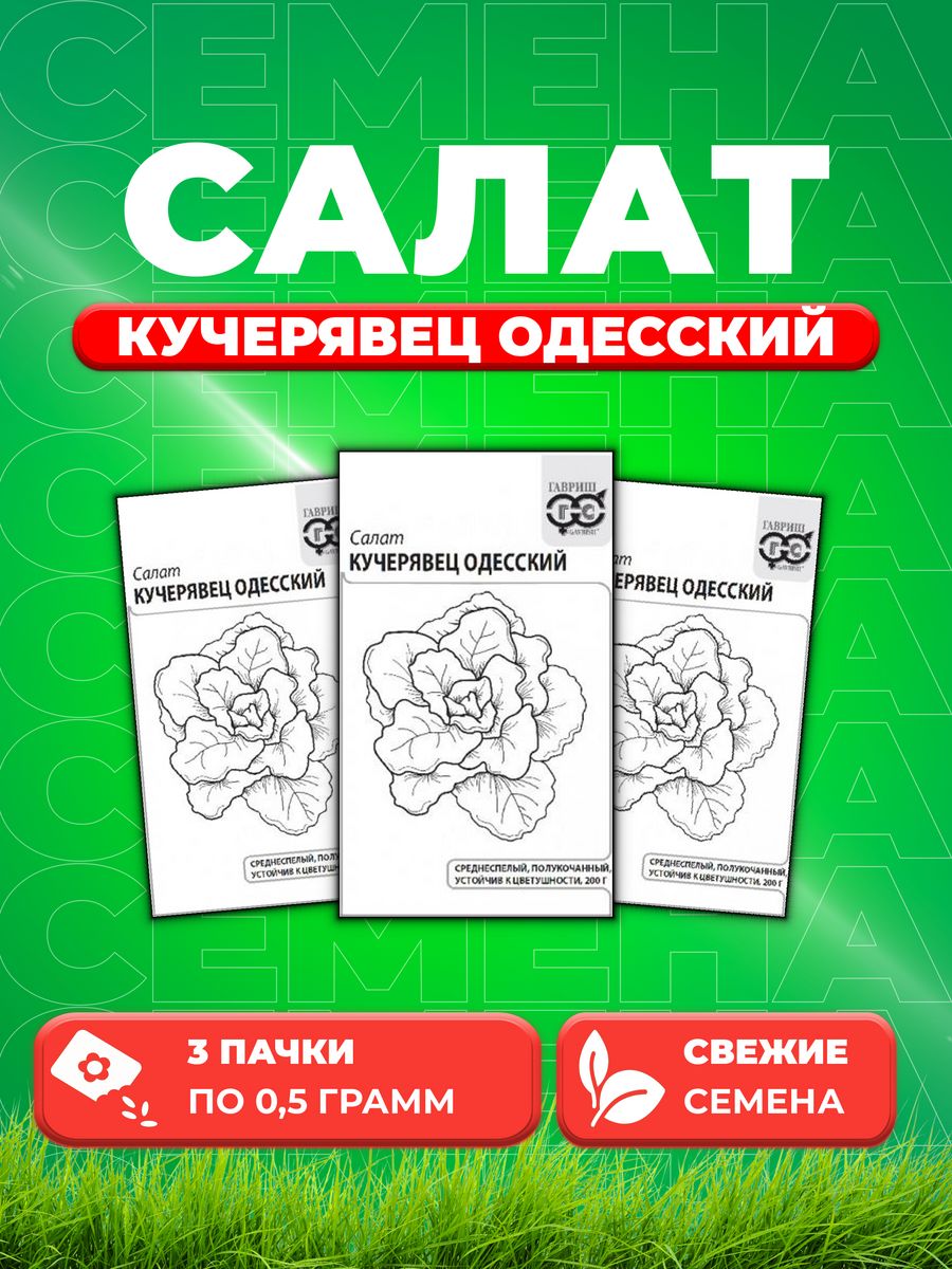 

Семена Салат Кучерявец Одесский 0,5 г (хрустящий) б/п (3уп)