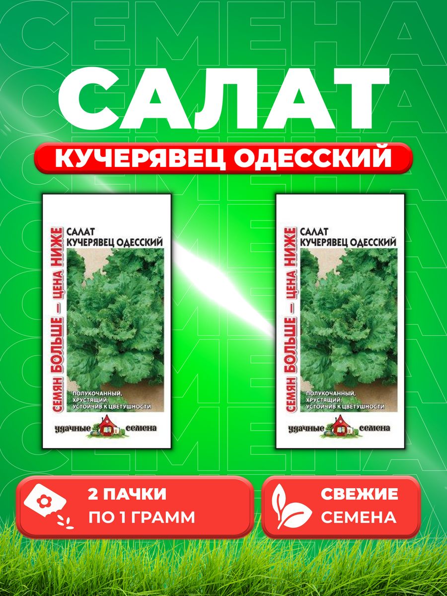 

Семена Салат Кучерявец Одесский 1,0 г хрустящий Семян больше (2уп)