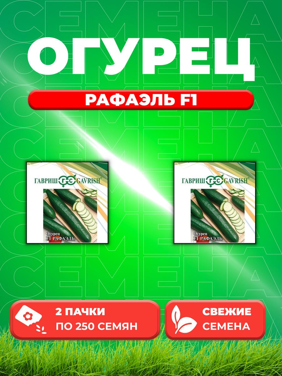 

Семена огурец Рафаэль F1 Гавриш 10007567-2 2 уп.