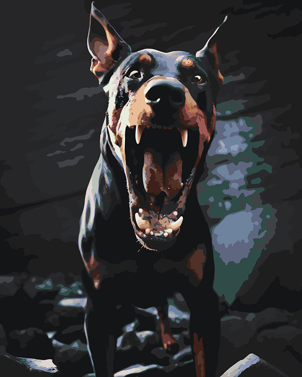 Картина по номерам Цветное Собака доберман с открытой пастью 2