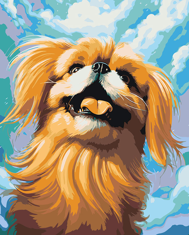 Картина по номерам Цветное Собака Пекинес на фоне яркого неба