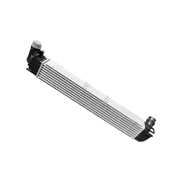 

Радиатор Интеркулера 1.5 Dci E5 Logan/Duster ASAM-SA 32129