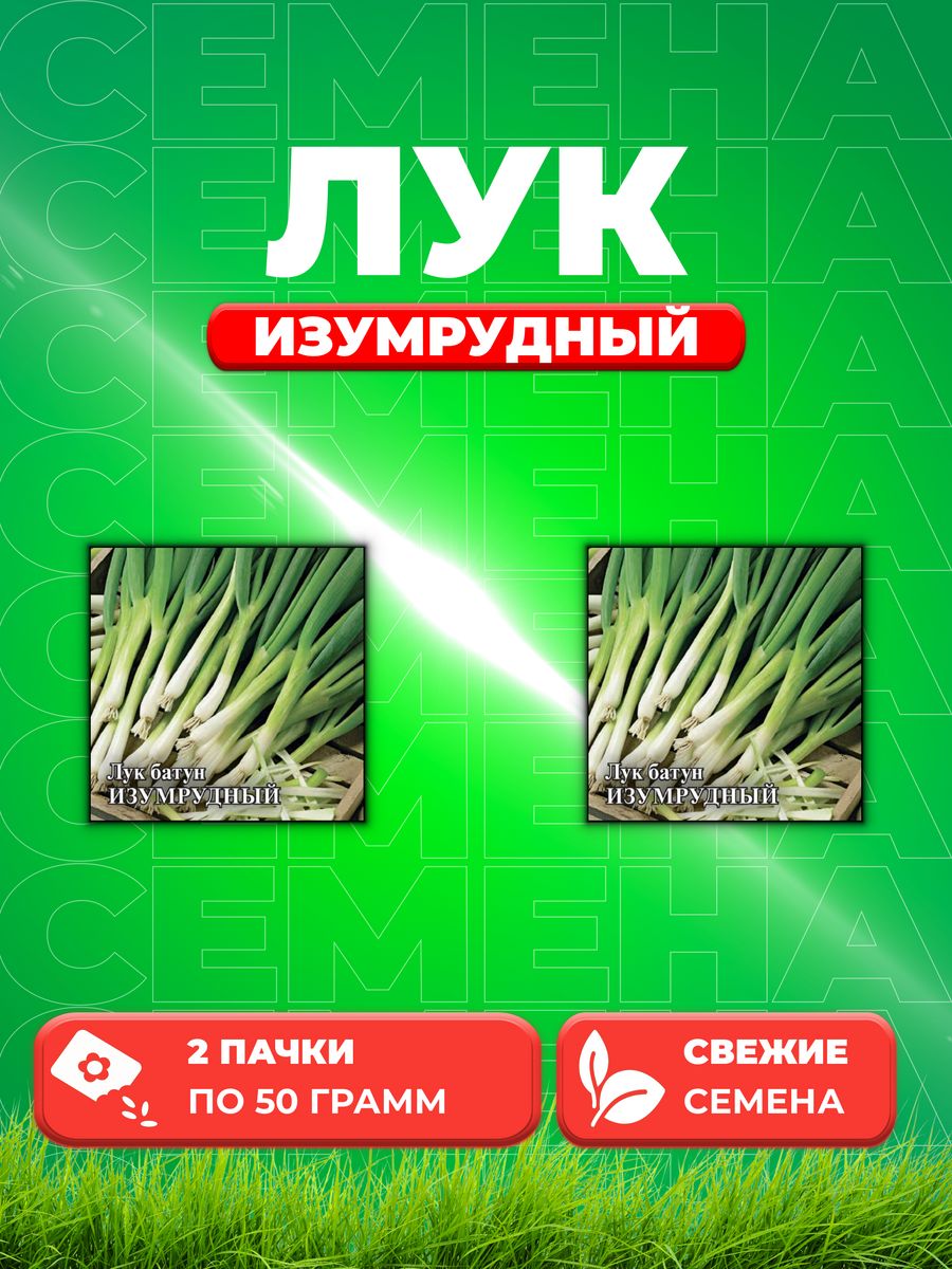 

Семена Лук батун Изумрудный, на зелень 50,0 г (2уп)