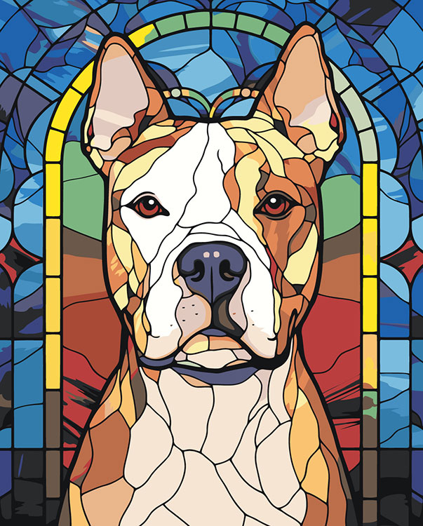 Картина по номерам Цветное Собака Стаффорд Стаффордширский терьер арт 3