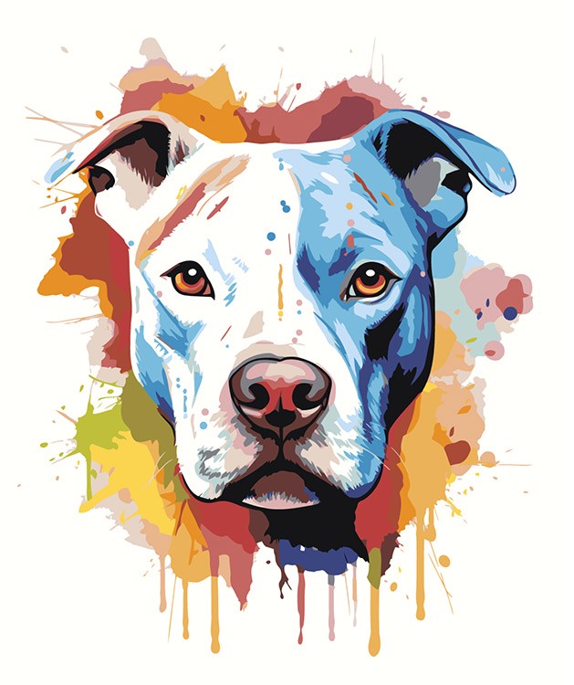 Картина по номерам Цветное Собака Стаффорд Стаффордширский терьер арт