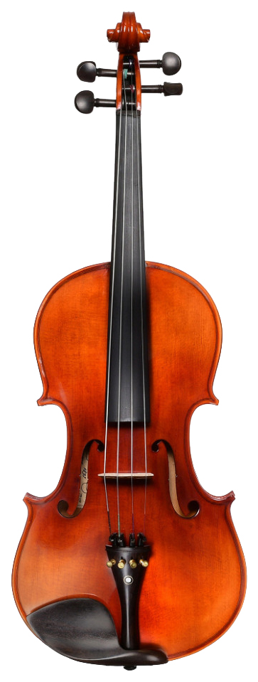 Скрипка ANDREW FUCHS VA-406