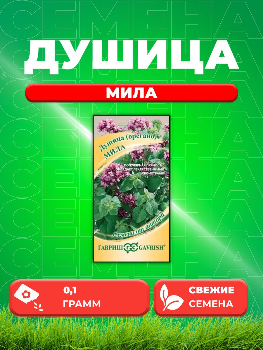 

Семена Душица Мила (орегано)* 0,1 г автор.