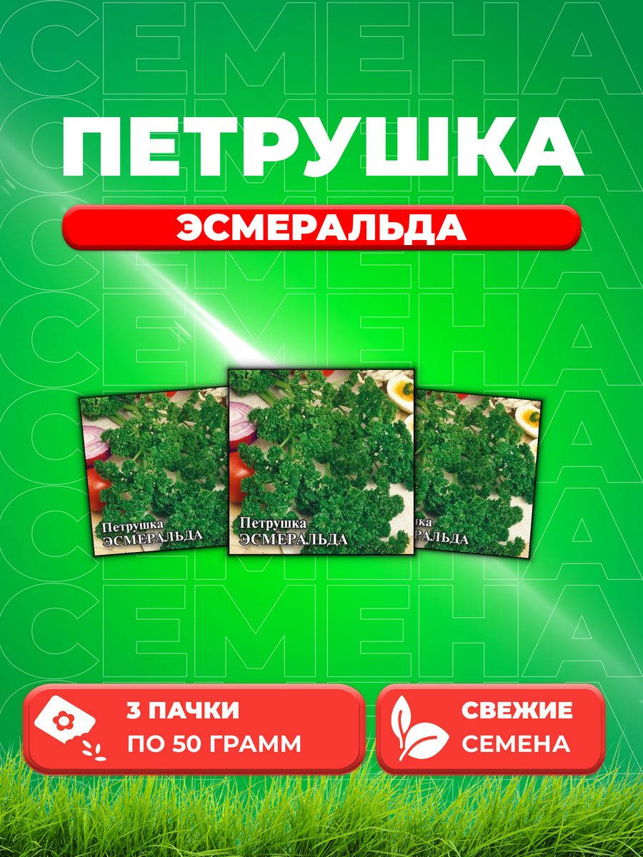 

Семена Петрушка кудрявая Эсмеральда 50,0 г (3уп)