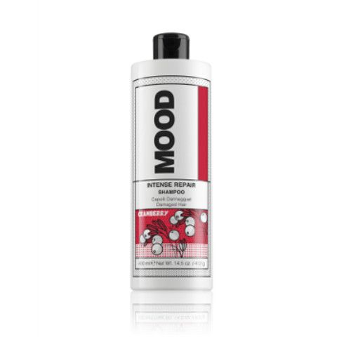 Шампунь для сухих и повреждённых волос Intense Repair Shampoo Mood 400 мл