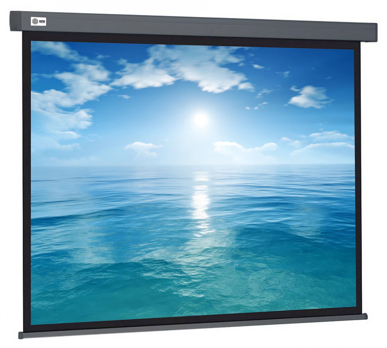 Экран Cactus 104.6x186см Wallscreen CS-PSW-104X186-SG 16:9 настенно-потолочный рулонный се