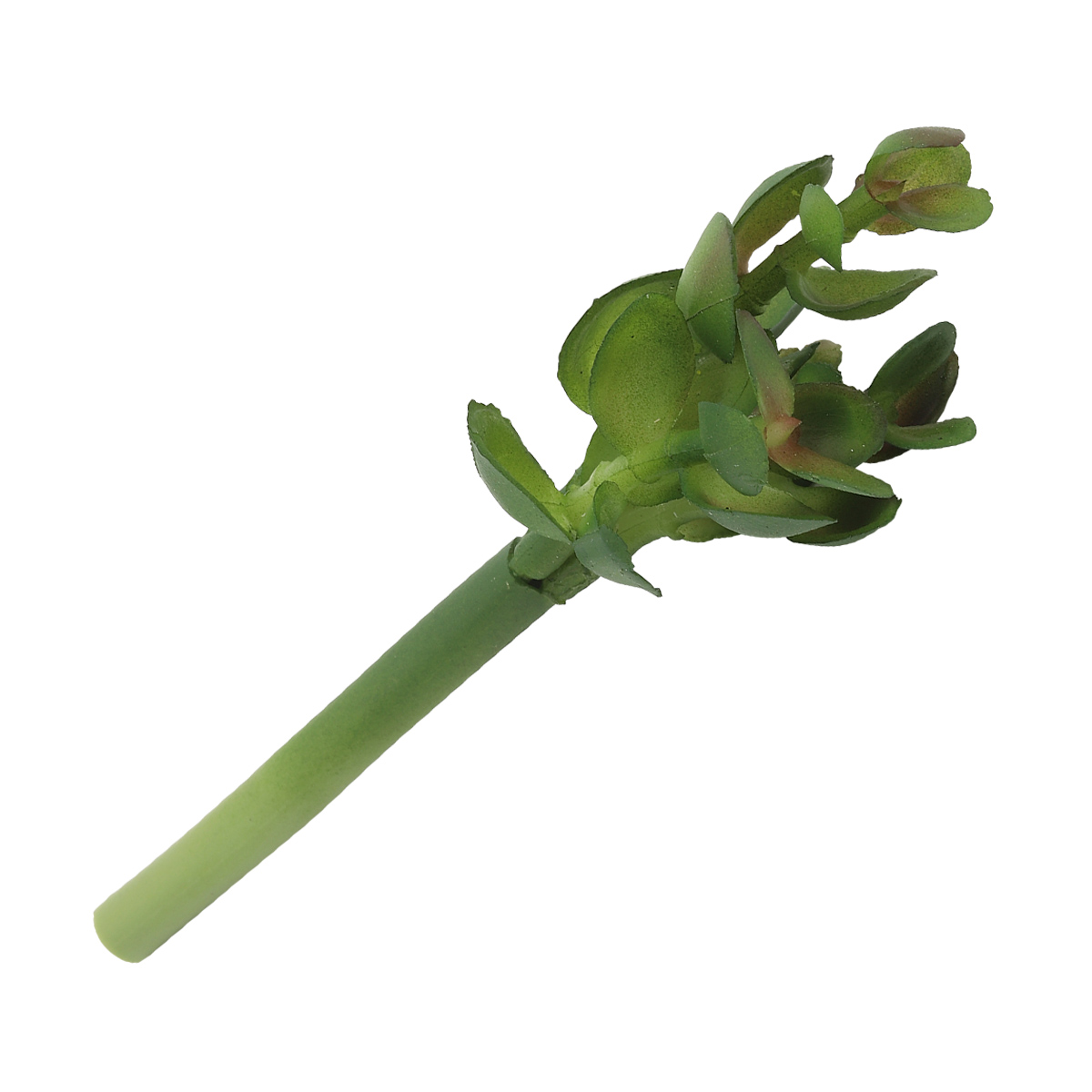 

Суккулент искусственный, Айрис, AR139, 9 см, Зеленый