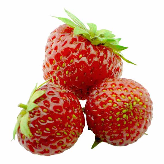 

Клубника свежая 250 г