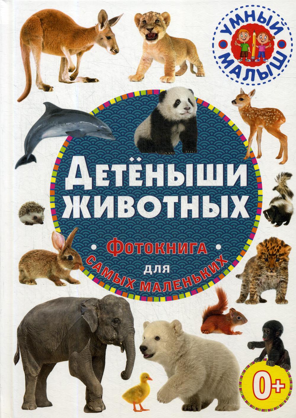 

Детеныши животных