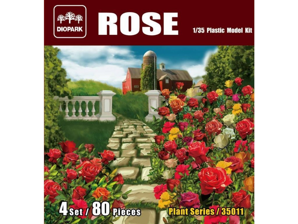 

DP35011 Rose