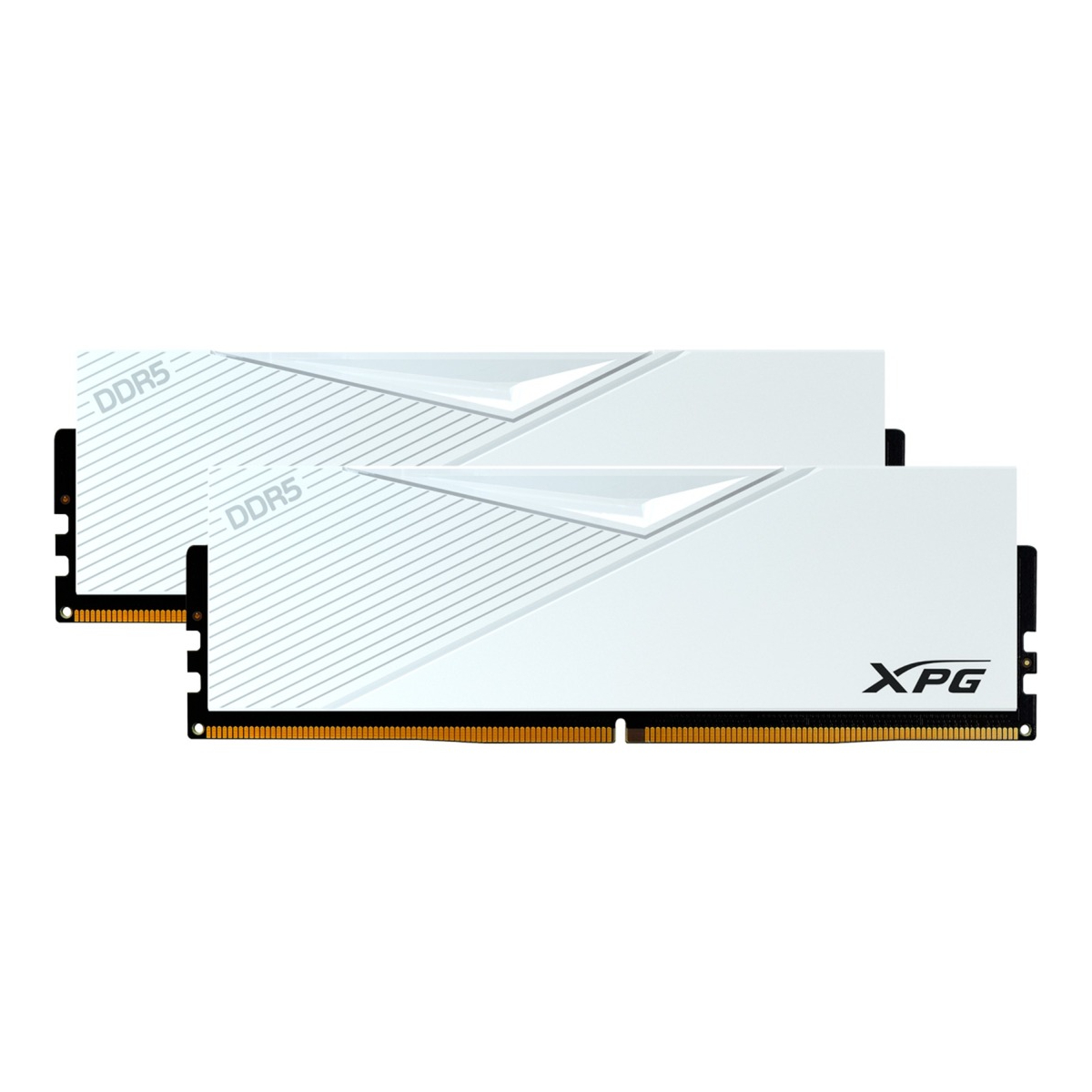 Оперативная память XPG 16 Гб, DDR5, 5200, AX5U5200C3816G-DCLAWH