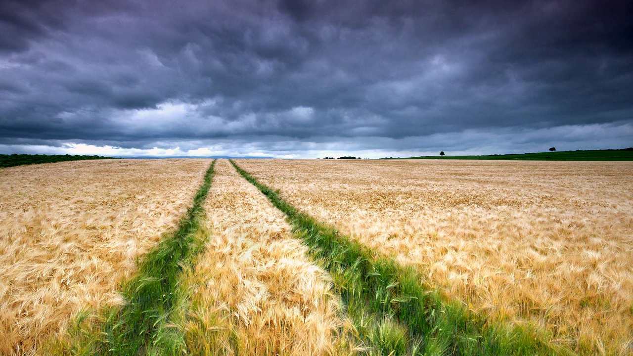 

Картина на холсте 60x110 LinxOne "Природа, пейзаж, натура, флора