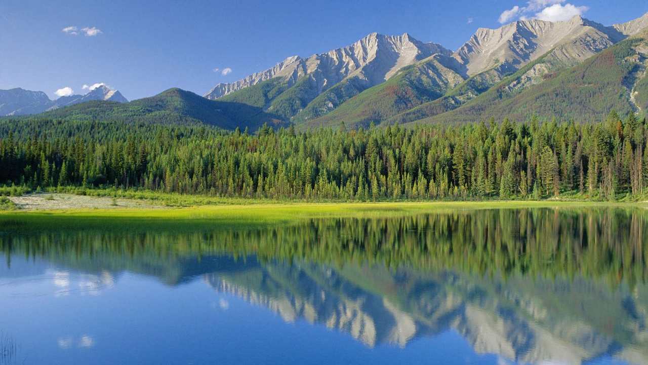 

Картина на холсте 60x110 LinxOne "Природа, пейзаж, натура, флора