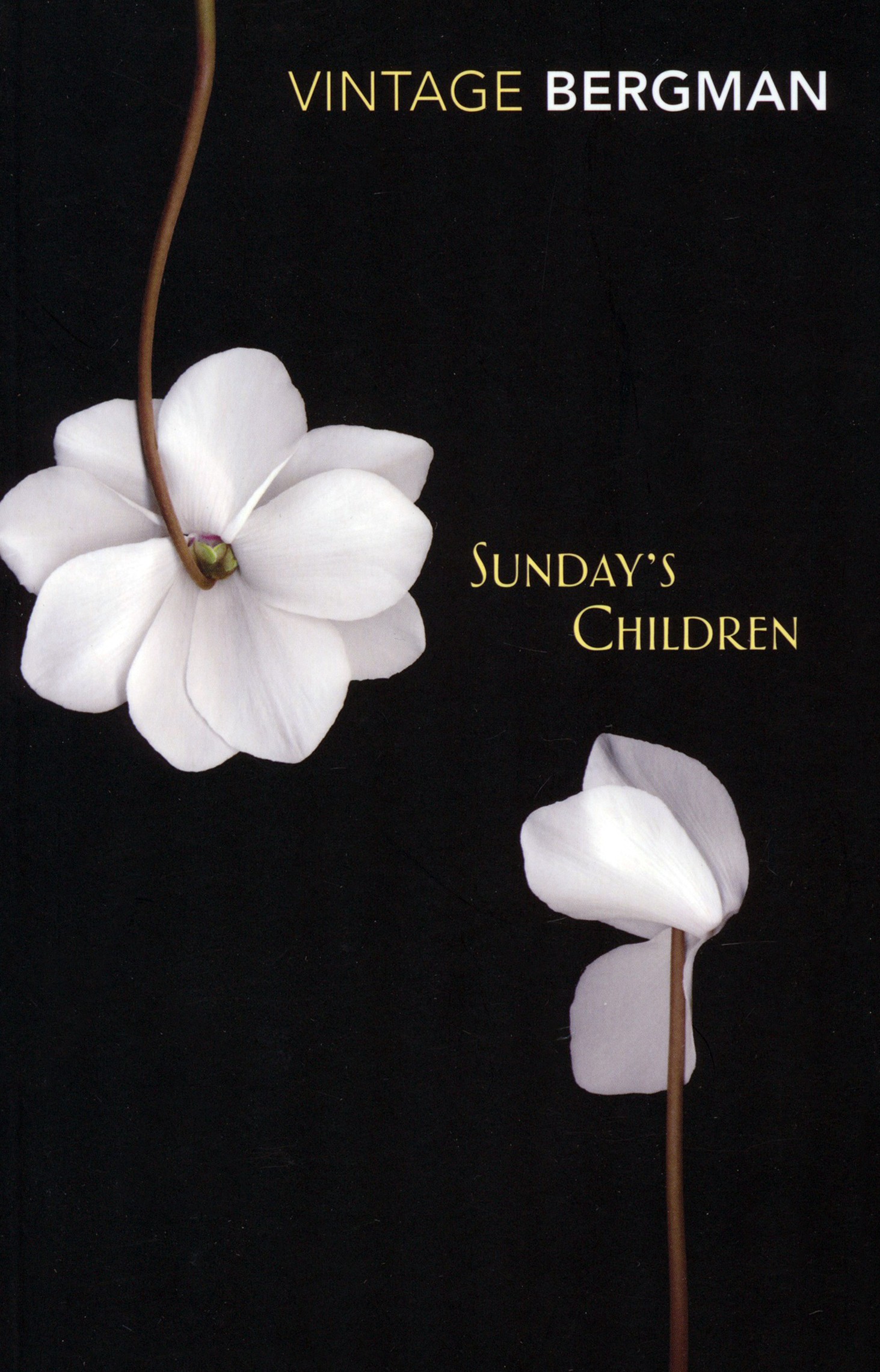 

Sunday's Children