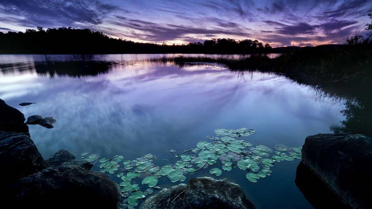 

Картина на холсте 60x110 LinxOne "Природа, пейзаж, натура, флора