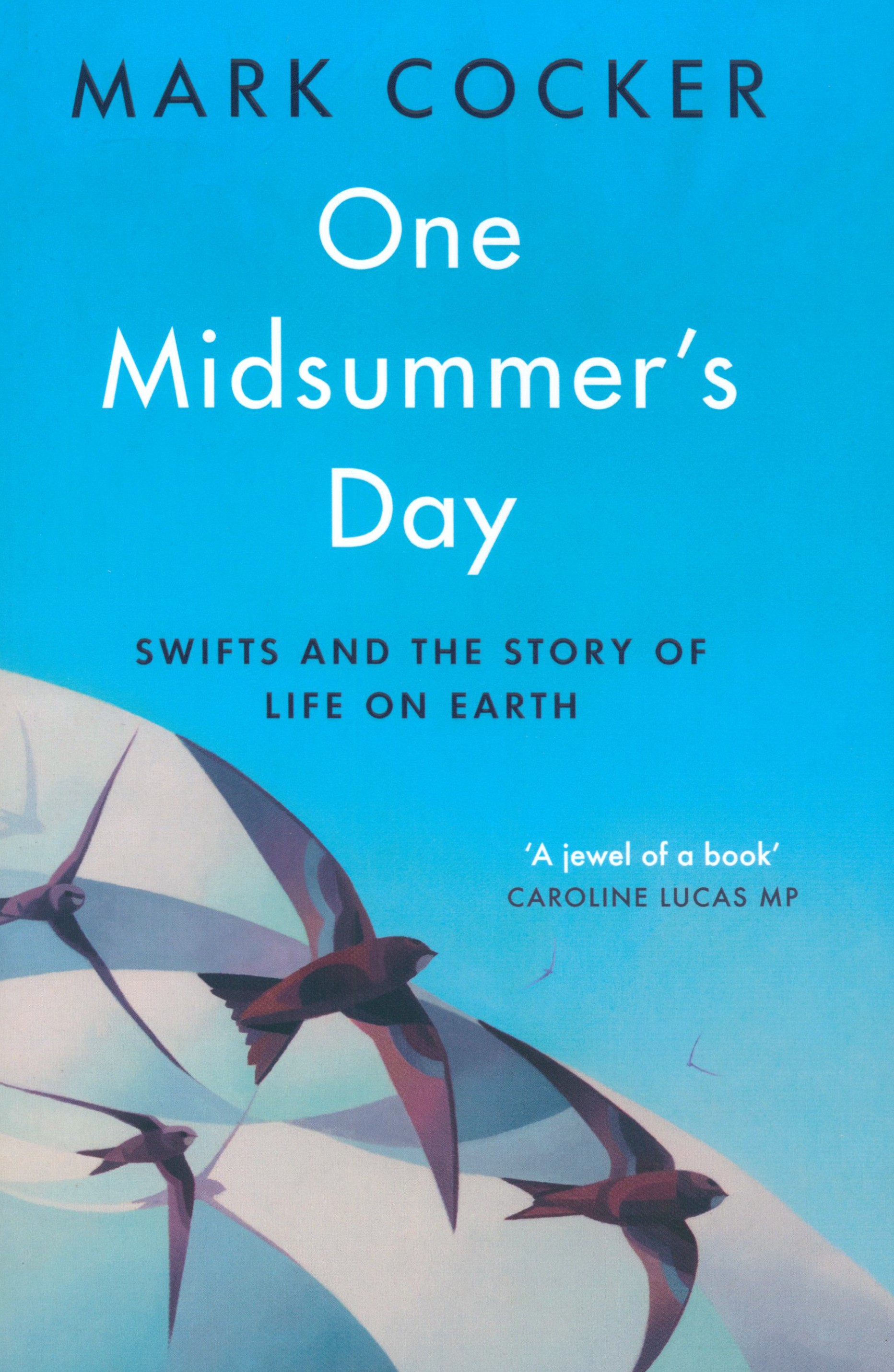 

One Midsummer's Day. Swifts and the Story of Life on Earth