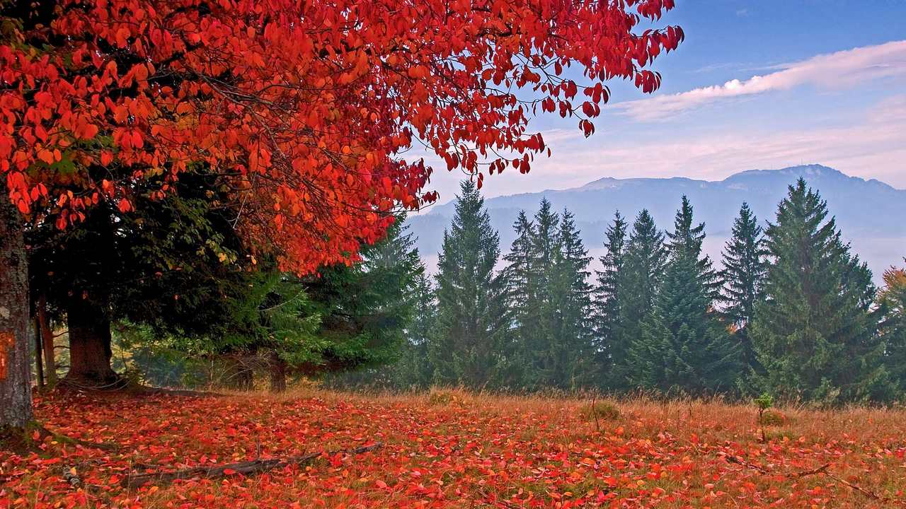 

Картина на холсте 60x110 LinxOne "Природа, пейзаж, натура, флора