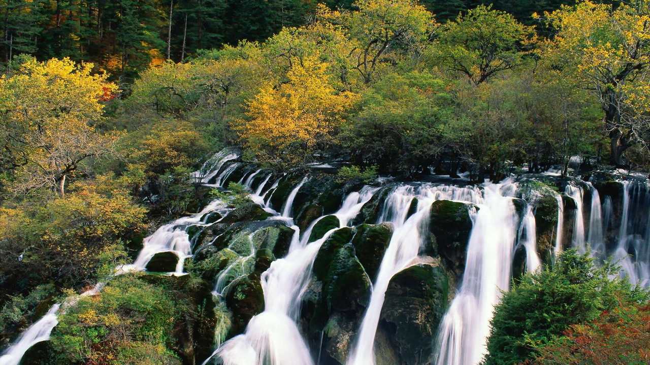 

Картина на холсте 60x110 LinxOne "Природа, пейзаж, натура, флора